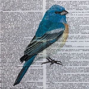 Dictionary Art Print, Blue Bird, Vintage Art Print, Dictionary Art Print